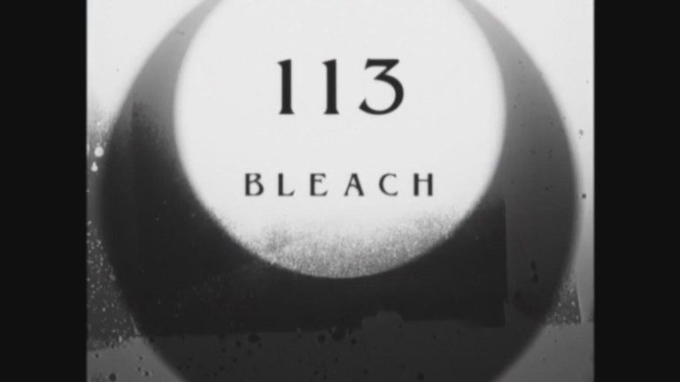 Bleach