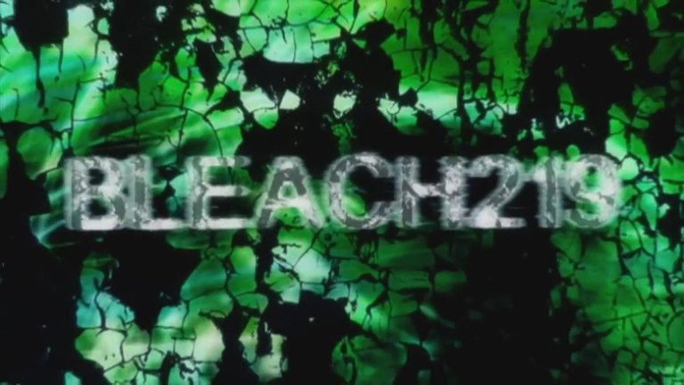 Bleach