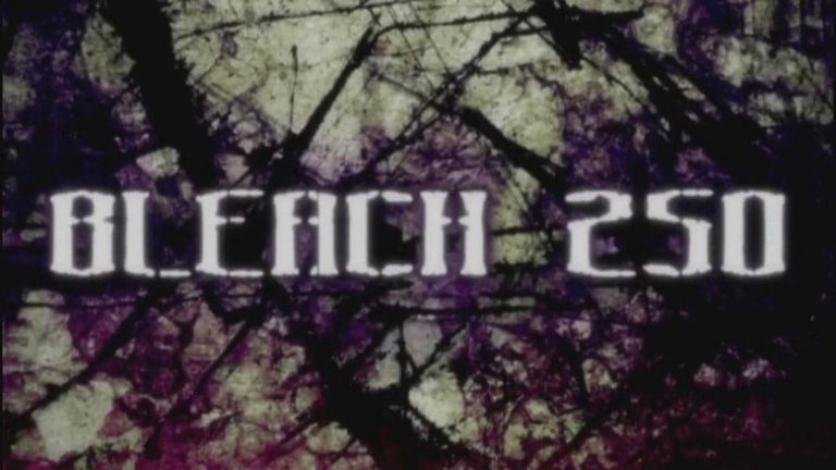 Bleach