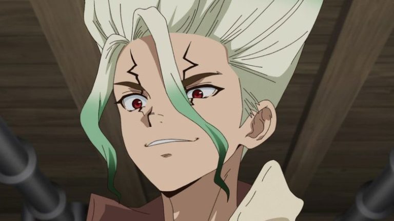 Dr Stone